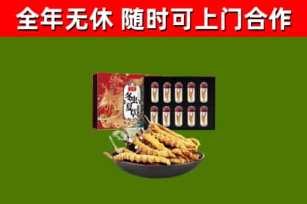 高平回收冬虫夏草价格