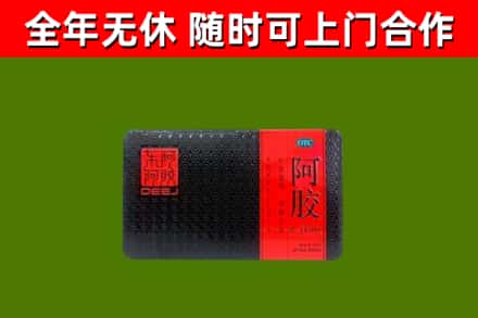 高平回收阿胶