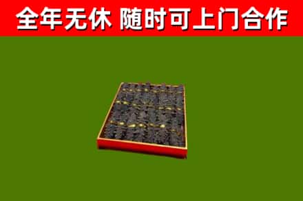 高平回收海参